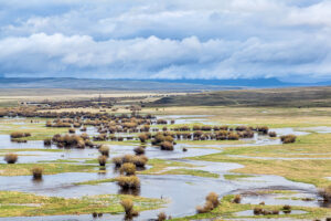 The Arapaho National Wildlife Refuge